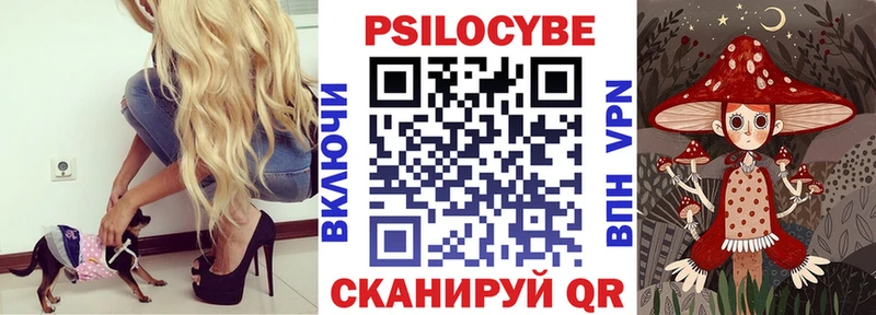 KRAKEN   Бежецк  Псилоцибиновые грибы ЛСД 
